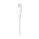 Apple Lightning - USB Kablosu (2 m)
