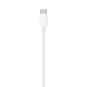 Apple USB-C - Lightning Kablosu (2 m)